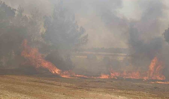 Antalya Aksu’daki orman yangını kontrol altına alındı