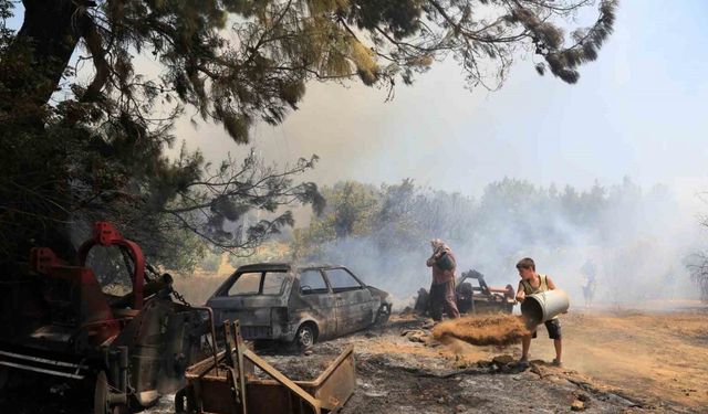 Antalya’da çıkan orman yangınında seralar büyük zarar gördü