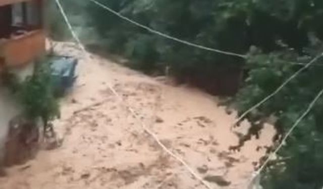 Artvin’de sel suları 4 köy yolunu ulaşıma kapattı