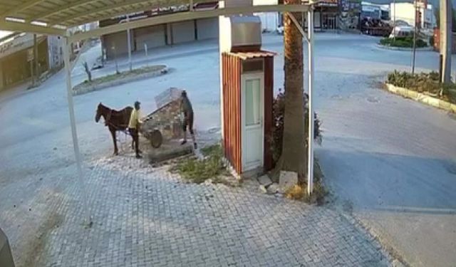 At arabalı hırsızlar mazgalı saniyeler içinde çaldı