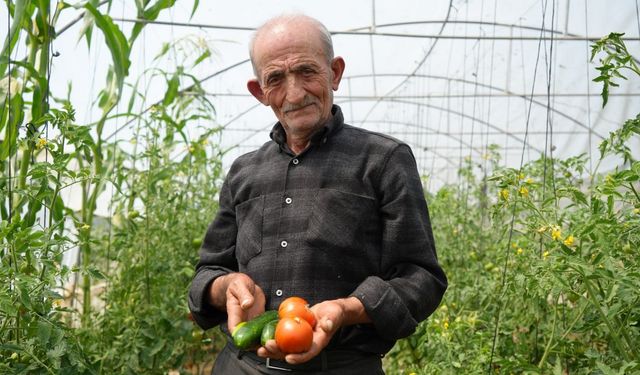"Ata tohumu memleket meselesi" diyen 74 yaşındaki çiftçi ömrünü organik tarıma adadı