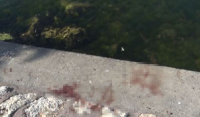 Avcılar’da feci cinayet: Önce bıçakladılar, sonra denize attılar