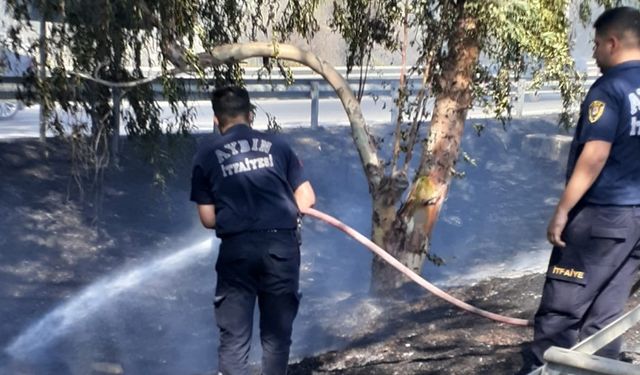 Aydın Büyükşehir Belediyesi’nin ateş savaşçıları yangından yangına koştu