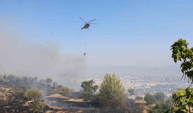 Aydın’da çıkan yangın üniversite kampüs alanına doğru ilerliyor