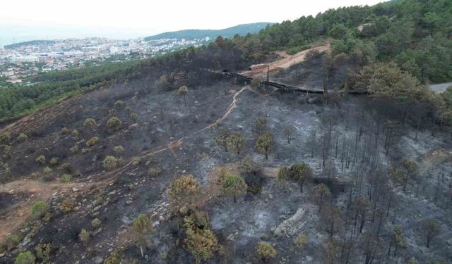 Aydos’ta yanan ormanlık alanın son hali havadan görüntülendi