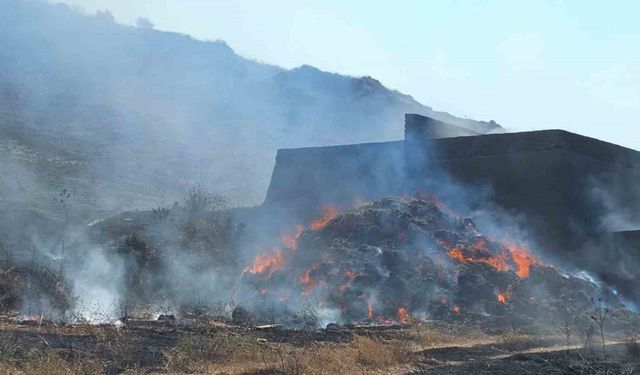 Bandırma’da yangın: Bin dönüm otluk alan yandı