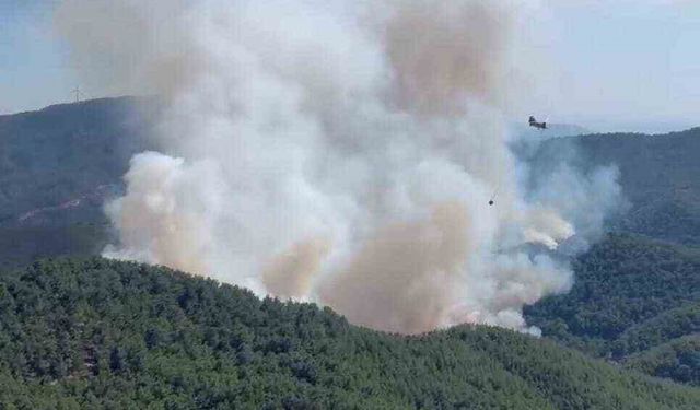 Bergama’daki orman yangına havadan ve karadan müdahale