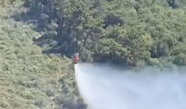 Beykoz’da çıkan orman yangını söndürüldü