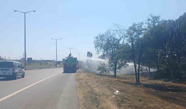 Beylikdüzü’nde otluk alandaki yangında mahsur kalan kaplumbağayı kurtarıp beslediler