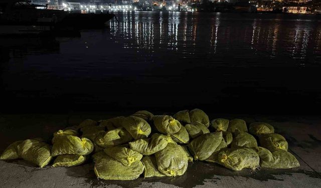 Beyoğlu’nda 1,5 ton kaçak midye ele geçirildi