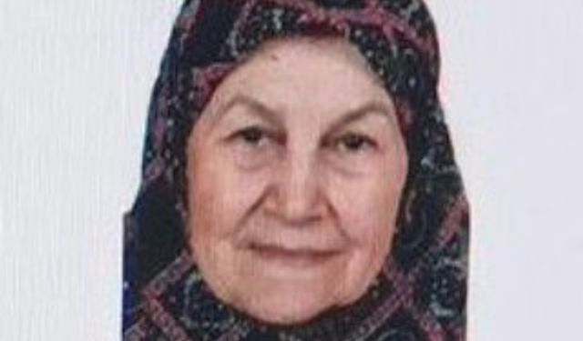 Bilecik’te kaybolan yaşlı kadın bulundu
