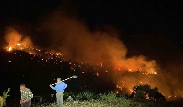 Bingöl’de çıkan orman yangını kontrol altına alındı