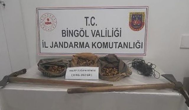 Bingöl’de salep soğanı toplayanlar yakalandı, 1 milyon 161 bin lira ceza kesildi