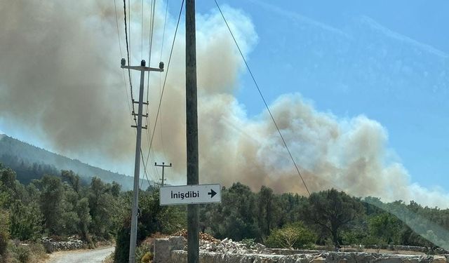 Bodrum’daki orman yangınına havadan ve karadan müdahale devam ediyor