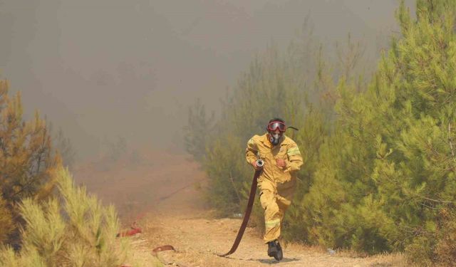Bodrum’daki orman yangınında söndürme çalışmaları 7. saate girdi