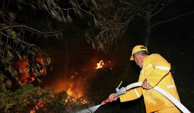 Bodrum’daki orman yangınının söndürme çalışmalarında 11. saate girildi