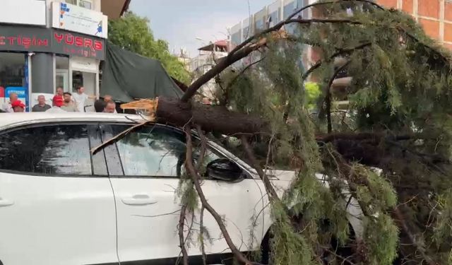 Burdur’da fırtınada kırılan ağaç aracın üzerine devrildi