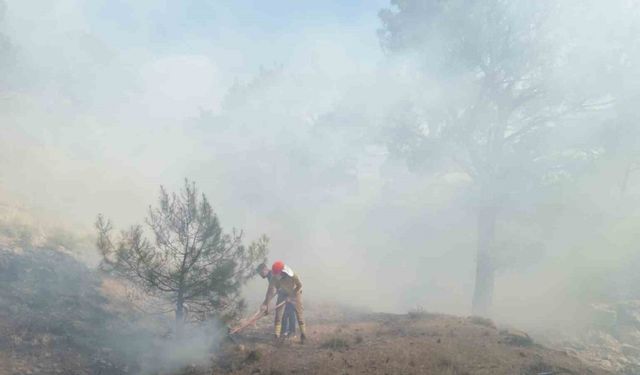 Burhaniye’deki orman yangını kısa sürede kontrol altına alındı