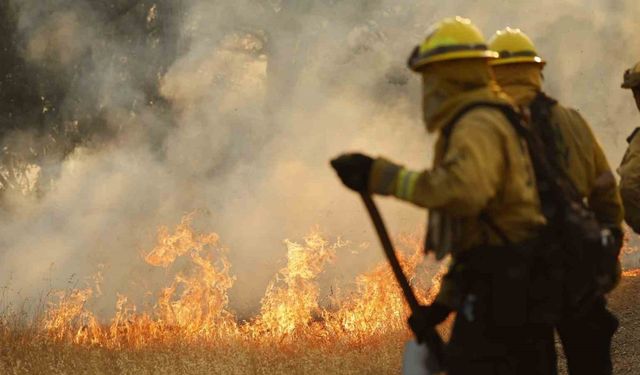 California tarihinin en büyük 6. orman yangını: 373 bin dönümden fazla alan kül oldu