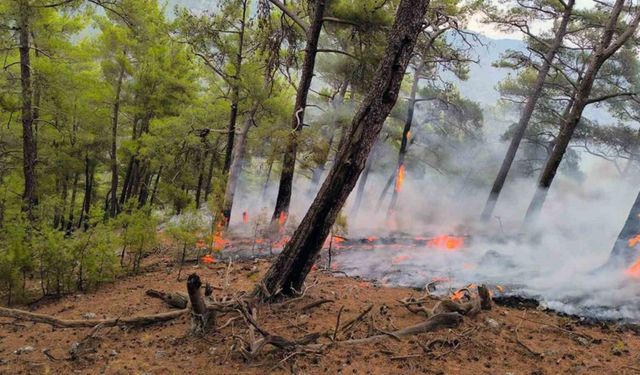 Cehennem Deresi yanıyordu, orman ve itfaiyeciler kurtardı