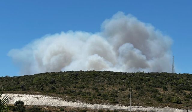 Çeşme’deki orman yangınına havadan ve karadan müdahale