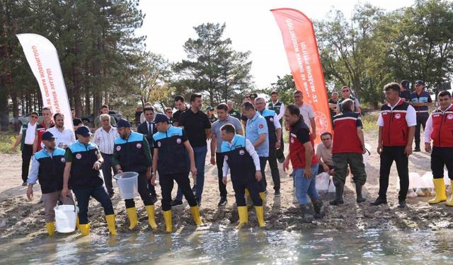 Damsa Barajı’na 350 bin yavru balık bırakıldı