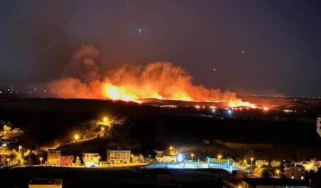 Diyarbakır’da anız yangını: Bölgedeki rüzgarın etkisiyle alevler geniş alana yayıldı