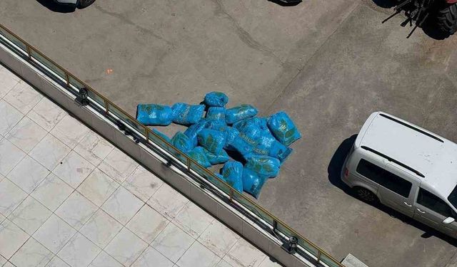 Diyarbakır’da bir işyerinde yapılan aramada 296 kilo skunk ele geçirildi