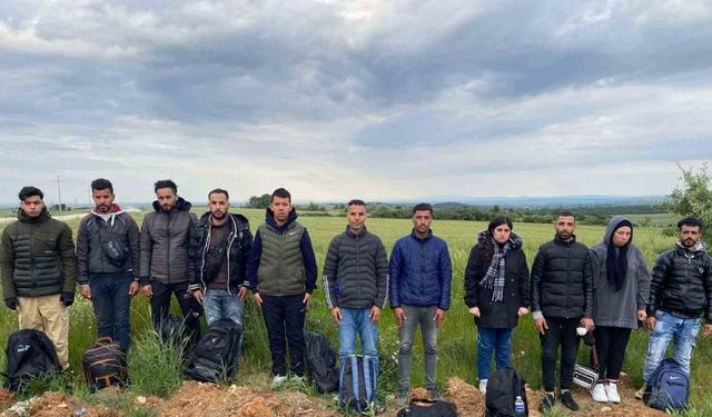 Edirne’de bir haftada 282 kaçak göçmen ve 5 organizatör yakalandı