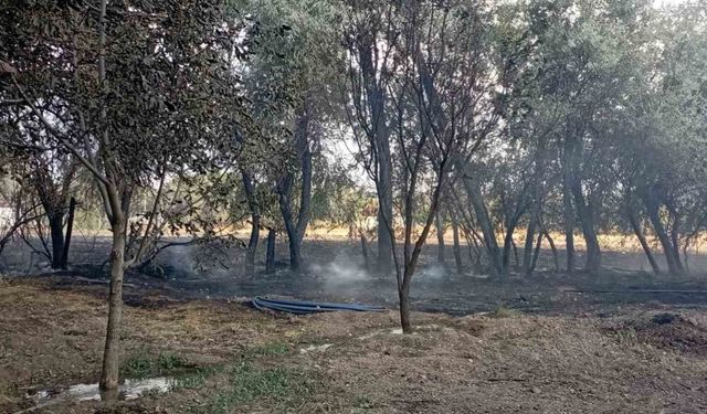 Elazığ’da bahçede korkutan yangın