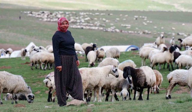 Erzurum’da 3 bin rakımda 3 yüz çadır kurulu