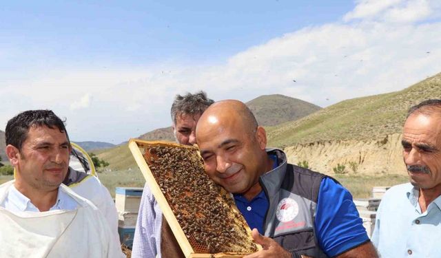 Erzurum’da arıcılara ana arı üretimi öğretildi