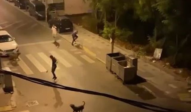 Esenyurt’ta bir şahıs 3 köpeğini bir adamın üzerine saldırttı