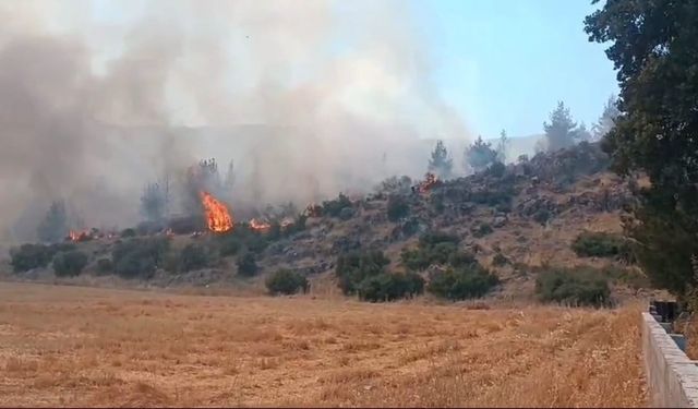 Gaziantep’te çıkan yangında 30 dönüm ormanlık alan zarar gördü