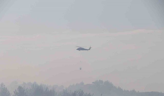 Hatay’daki orman yangını 4 saatlik müdahaleyle kontrol altına alındı