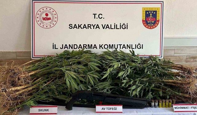 Jandarma altı ayda 55 kilo uyuşturucu ele geçirdi: Bin 165 şüpheliye işlem yapıldı