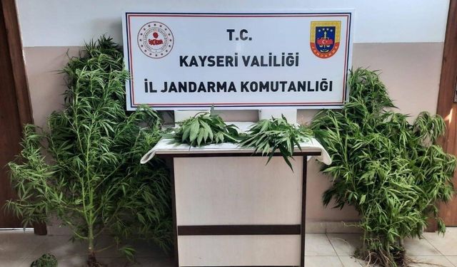 Jandarma Kayseri’de uyuşturucuya geçit vermiyor