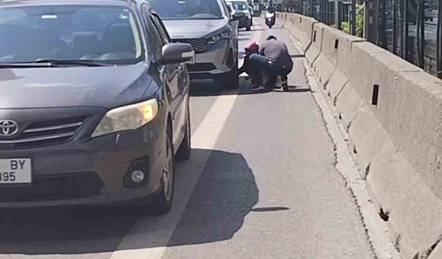 Kadıköy D-100 karayolunda yavru kediyi kurtaran duyarlı vatandaş kamerada