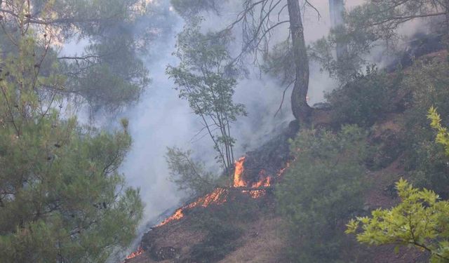 Kahramanmaraş’ta orman yangınına müdahale sürüyor