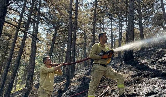 Karabük’te orman yangınında 7 hektar alan zarar gördü