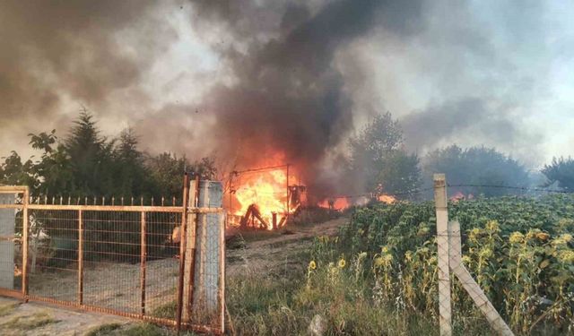 Kırklareli’nde yangın: Bağ evi kullanılmaz hale geldi