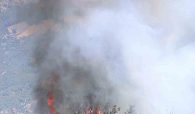 Kozan’daki orman yangınında alevler tekrar yükseliyor