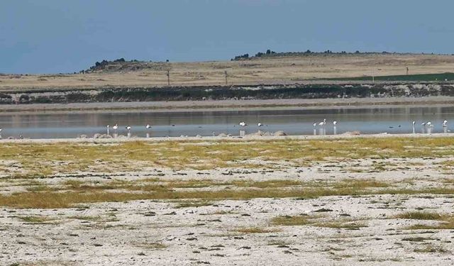 Kuş cenneti Arin Gölü’nde kuraklık tehlikesi