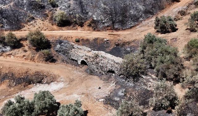 Kuşadası’ndaki orman yangınında antik su kemeri zarar gördü
