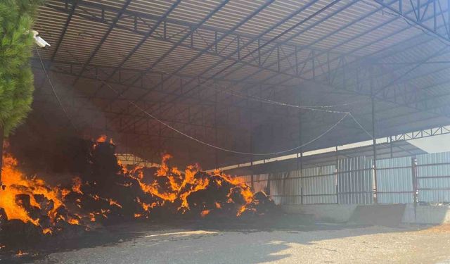 Manisa’da çiftlik yangını: 2 bin balya saman kül oldu
