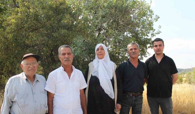 Mardin’de ağabey, 15 kardeşinin arazi hakkını sahte tapu işlemleri ile aldığı iddia edildi