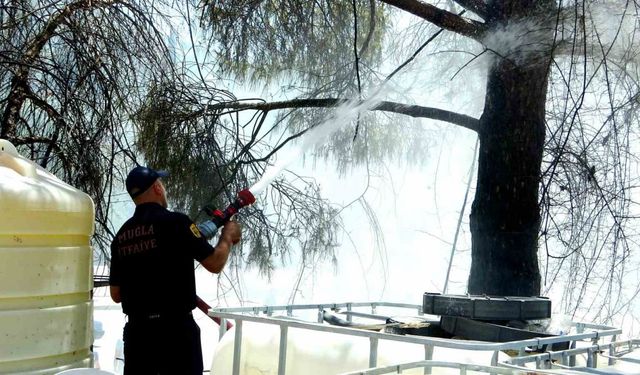 Menteşe’de yangın, ekiplerin zamanında müdahalesi ile söndürüldü