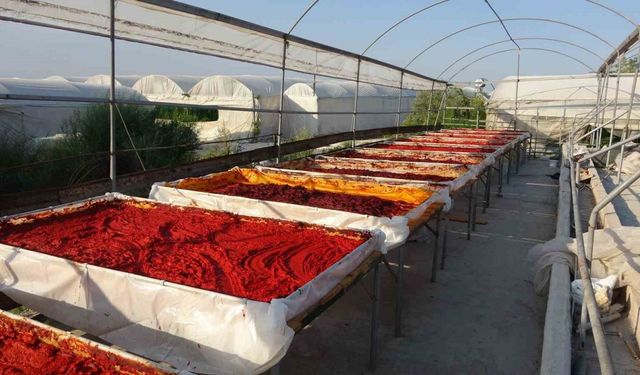 Mersin’de biber salçası üretimi başladı