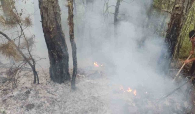 Ormanlık alandaki yangın büyümeden söndürüldü