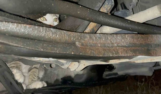 Otomobilin motoruna giren inatçı kedi otoparkta araçtan araca koştu
